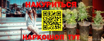 трава Будённовск