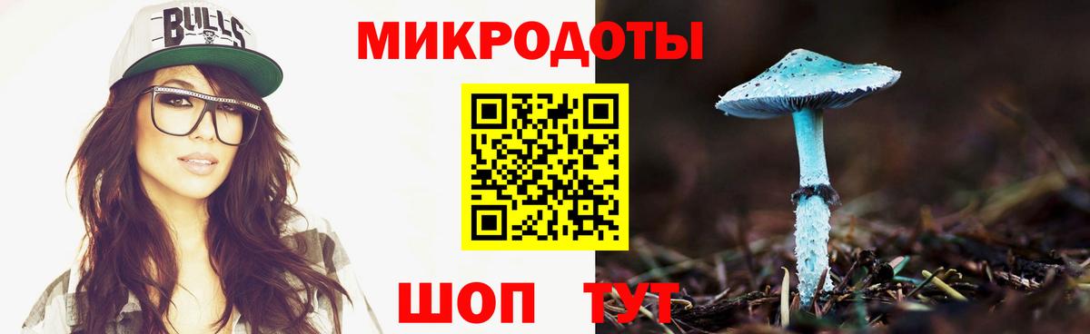 Галлюциногенные грибы Psilocybe  Галлюциногенные грибы мухоморы  Вход с VPN  магазин  наркотиков  Ставрополь 